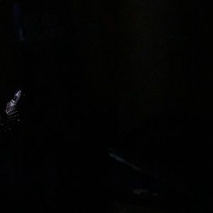 Meet your Posher, Kenneth